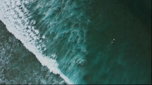 Аэросъемка Серферов Западном Побережье Португалии Ней Изображен Небольшой Пляж Серферами — стоковое видео