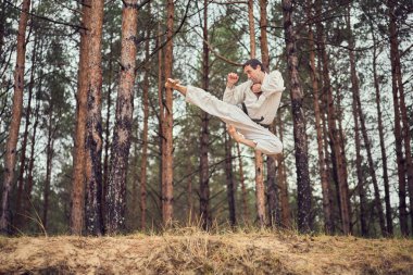 Eski kimonolu bir karateci ve çam ağacı ormanında atlama eğitimi almış. Dövüş sanatları konsepti.