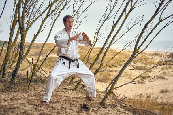 Karate muž ve starém kimonu a černý pás trénink v borovém lese. Koncept bojových umění. — Stock fotografie