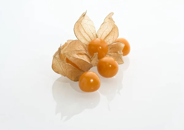Спелые ягоды Физиалиса выделены на белом — стоковое фото