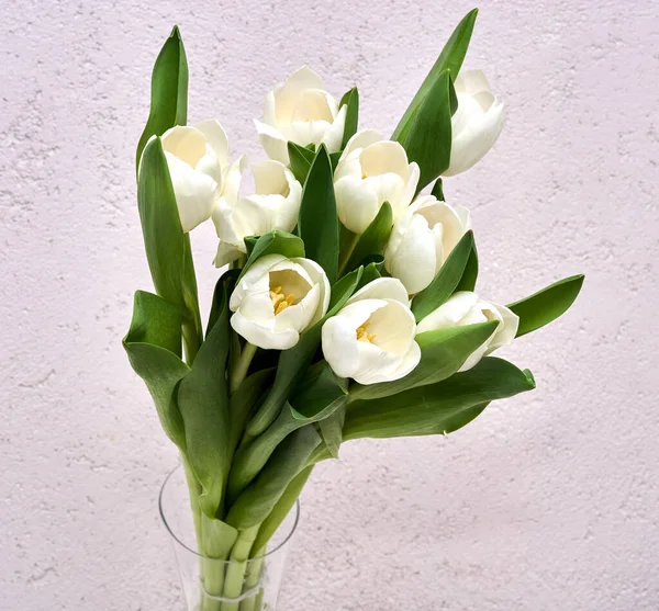 Białe świeże tulipany w wazonie — Zdjęcie stockowe