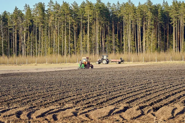 The tractor plows the field, cultivates the soil for sowing grain. Farmer standing behind the tractor during process. The concept of agriculture and agricultural machinery.