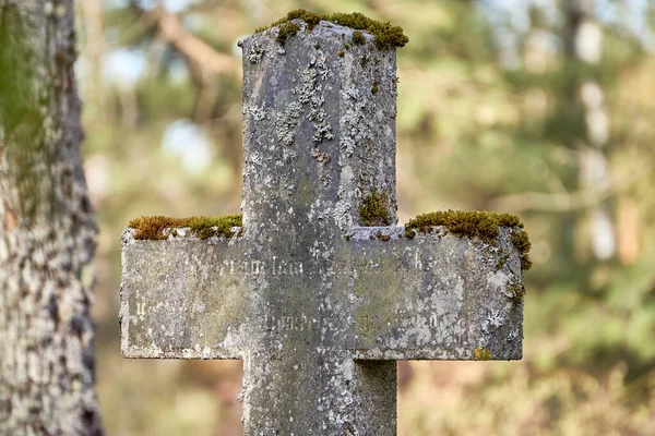 Antiga Cruz Concreto Cemitério Coberta Por Musgo Dia Ensolarado — Fotografia de Stock