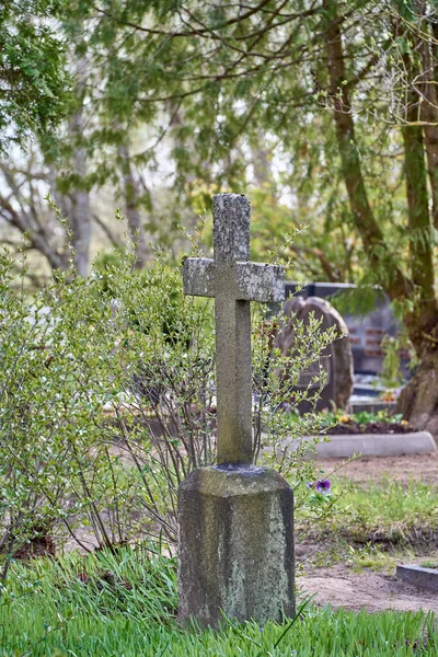 Antiga Cruz Concreto Cemitério Coberta Por Musgo Dia Ensolarado — Fotografia de Stock