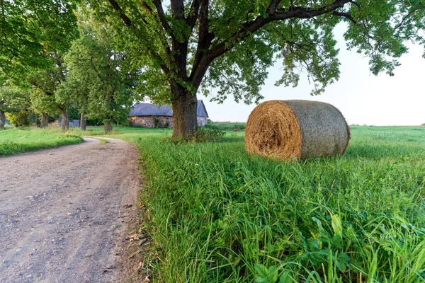 Green Agricultural Field One Haystack Big Oak Tree Rural Road — Stok Foto