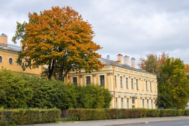 Üniversite seti üzerinde sonbahar akçaağacı