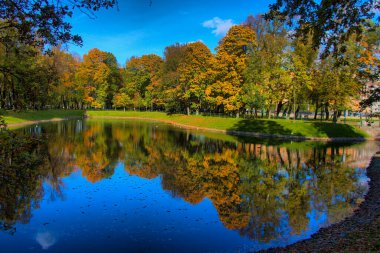 St. Petersburg 'daki Mikhailovsky Bahçesi' nde sonbahar manzarası