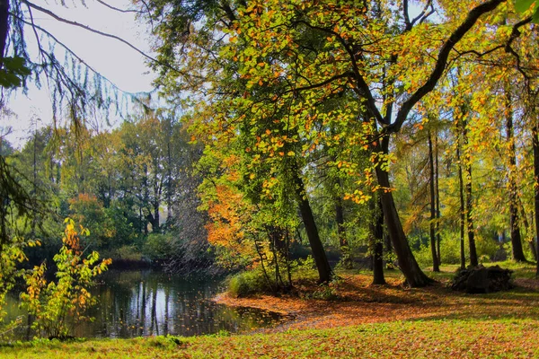 Podzimní krajina na ostrově Elagin v Petrohradě — Stock fotografie