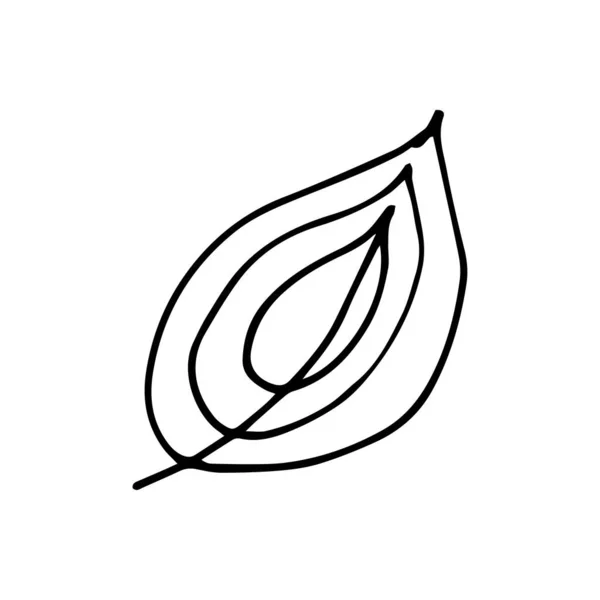 Abstrakcyjne liście i kwiaty doodle zestaw wektor ilustracja — Wektor stockowy
