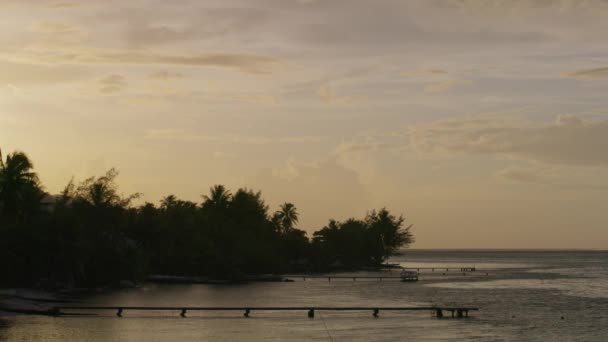 Muelles Distantes Océano Atardecer Tahití Moorea Polinesia Francesa — Vídeo de stock