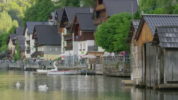 Широкая Замедленная Съемка Уток Людей Набережной Hallstatt Австрия — стоковое видео