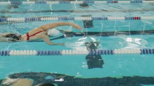 Slow Motion Shot Girls Racing Swimming Pool Lanes Provo Utah — Stock video
