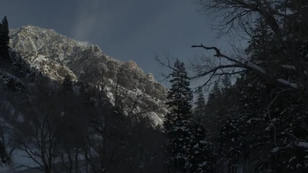 美国犹他州美洲叉峡谷偏远冬季景观中的森林山谷空中景观的上升 — 图库视频影像