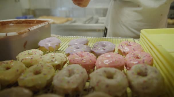 Close Baker Sprinkling Sprinkles Donuts Pleasant Grove Utah United States — Stock Video