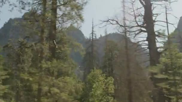 Colpo Basso Panning Angolo Foresta Densa Montagna Yosemite Valley California — Video Stock