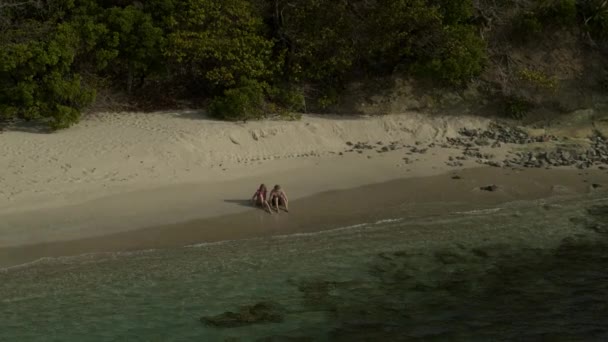 Zoom Aereo Coppie Sedute Sulla Spiaggia Oceanica Vicino Alle Onde — Video Stock