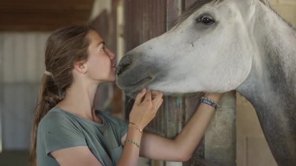 Primer Plano Cámara Lenta Niña Acariciando Caballo Lehi Utah Estados — Vídeos de Stock