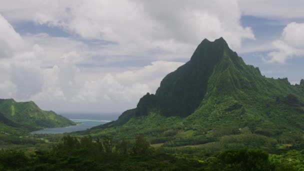 Time Lapse Wind Blowing Trees Lush Green Mountain Landscape Bay — Vídeo de stock