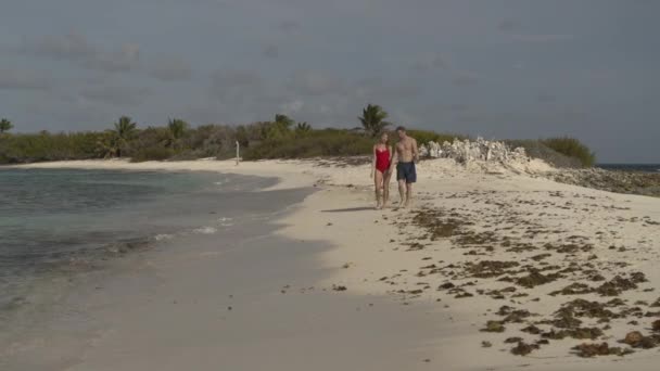 Panning Shot Romantic Couple Walking Ocean Beach Petit Tabac Tobago — Stock Video