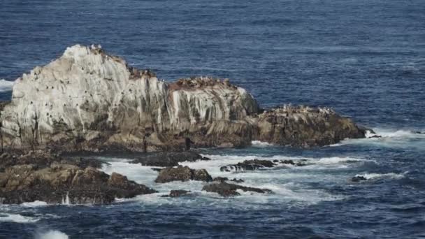 Океанські Хвилі Спалахують Скелях Point Lobos California United States — стокове відео