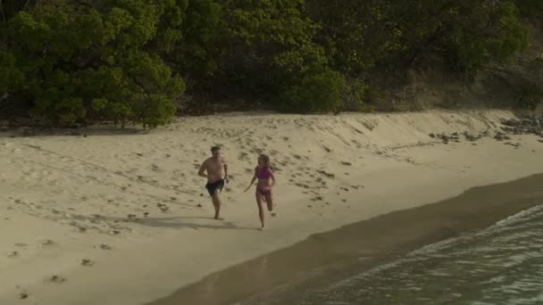 Zoom Aéreo Fuera Pareja Corriendo Playa Luego Nadando Océano Bahía — Vídeos de Stock