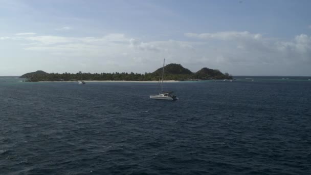 Вид Воздуха Приближается Далёкому Катамарану Океане Возле Острова Острова Палм — стоковое видео