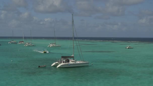 Αεροφωτογραφία Μηχανοκίνητου Σκάφους Που Πλησιάζει Καταμαράν Στον Ωκεανό Tobago Cays — Αρχείο Βίντεο