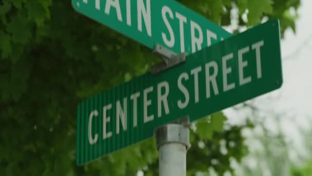 Tilt Wind Blowing Leaves Green Street Sign Spring City Utah — Wideo stockowe