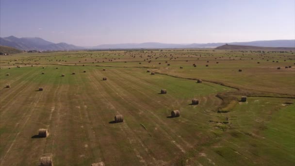Vista Aérea Fardos Heno Enrollado Campos Cerca Montañas Afton Wyoming — Vídeo de stock