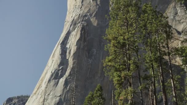 倾斜俯瞰树木和美国加利福尼亚El Capitan Yosemite山谷风景的镜头 — 图库视频影像