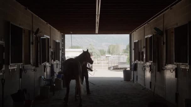 Wide Slow Motion Shot Girl Leading Horse Stable Lehi Utah — Video Stock