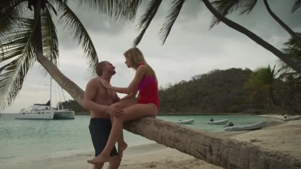 ロマンチックなカップルいちゃつく上のヤシの木で海のビーチ 塩笛湾 セントビンセント グレナディーン — ストック動画