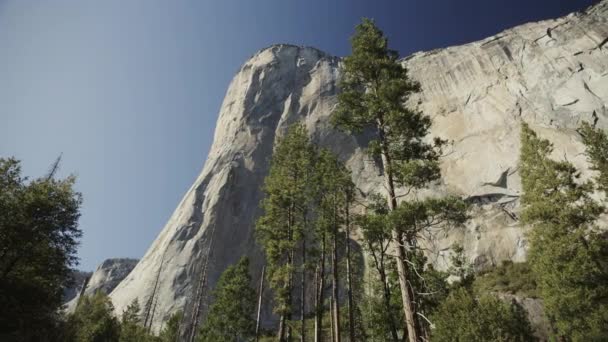 美国加利福尼亚El Capitan Yosemite山谷树木景观低角度全景 — 图库视频影像