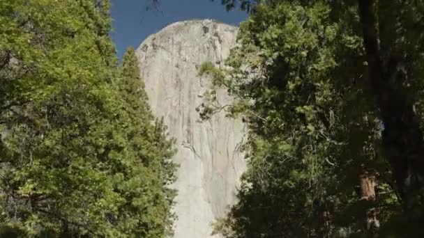 Niski Kąt Widzenia Zbliża Formacji Skalnych Między Drzewami Yosemite Valley — Wideo stockowe