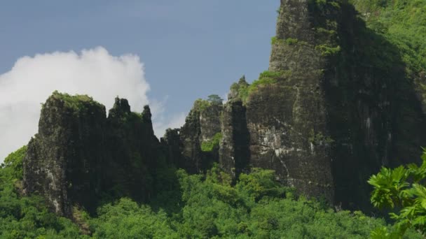 Low Angle View Trees Rock Formation Blue Sky Moorea French — Stock Video