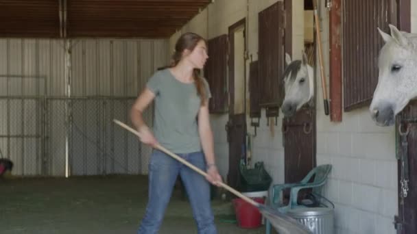 Medium Panning Shot Horse Skidding Girl Cleaning Floor Stable Lehi — Wideo stockowe