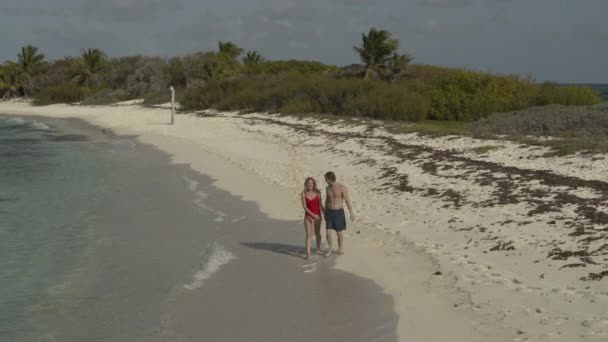 Aerial View Happy Couple Holding Hands Walking Beach Petit Tabac — ストック動画