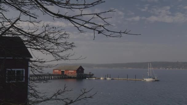 Ramas Árboles Cerca Casa Botes Paseo Marítimo Coupeville Washington Estados — Vídeo de stock