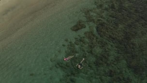 Aerial View Couple Floating Swimming Ocean Anse Roche Bay Carriacou — Wideo stockowe