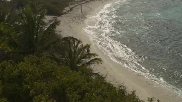 遠くのカップルが海のビーチ プチタバック トバゴのケイズ セントビンセント グレナディーンで走っていることを明らかにする空中の景色 — ストック動画