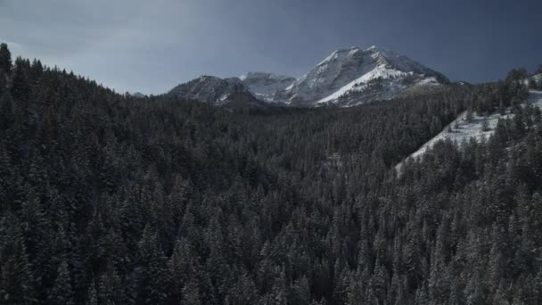 冬の山岳地帯近くの森林の空中飛行ビュー アメリカフォークキャニオン ユタ州 アメリカ — ストック動画