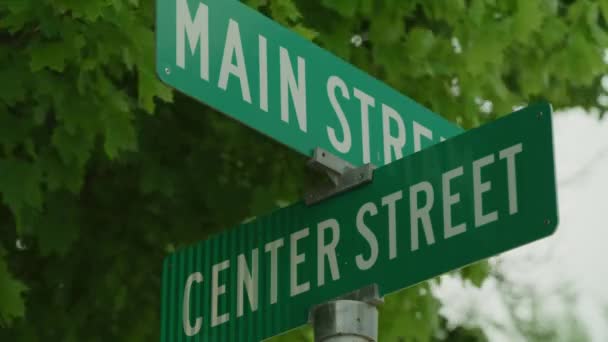 Ветер Дует Листья Над Зеленым Знаком Улицы Спринг Сити Юта — стоковое видео