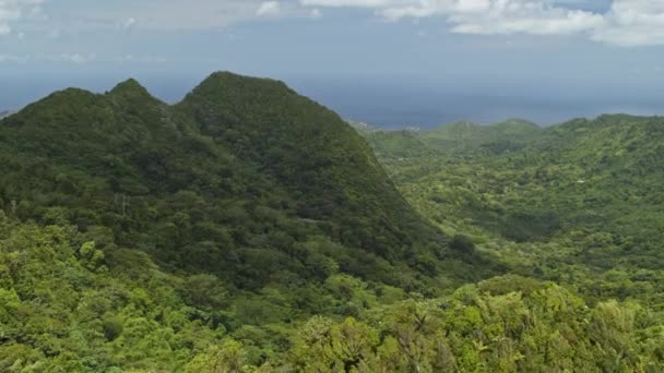 Letecký Pohled Malebný Tropický Horský Les Pod Mraky Národní Park — Stock video