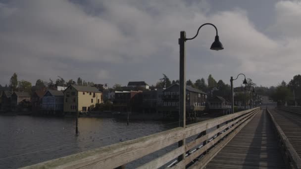 Birds Flying Lamp Waterfront Boardwalk Coupeville Waszyngton Stany Zjednoczone Ameryki — Wideo stockowe