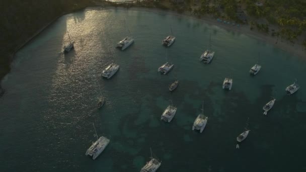 Vista Aérea Catamaranes Cerca Costa Bahía Silbato Sal Mayreau San — Vídeos de Stock