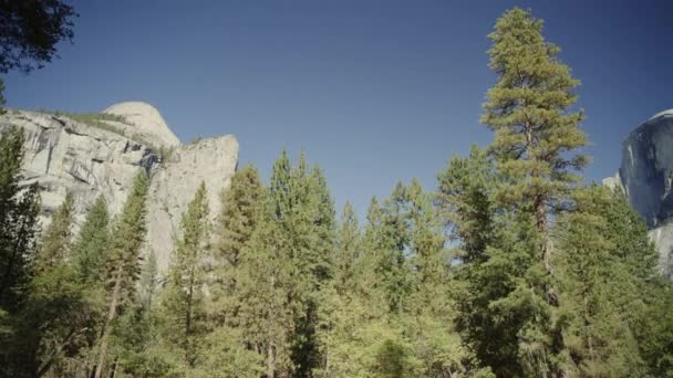 Basso Angolo Panning Colpo Vista Panoramica Alberi Montagne Yosemite Valley — Video Stock