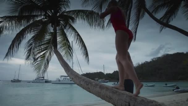 Man Holding Hand Woman Walking Trunk Palm Tree Ocean Beach — Stockvideo
