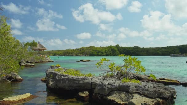 Ondulazione Dell Acqua Vicino Fogliame Sulla Roccia Tulum Quintana Roo — Video Stock