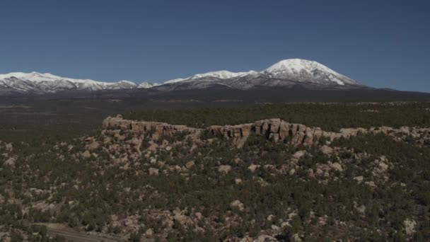 Panning Shot Udara Flyover Pohon Lanskap Gunung Blanding Utah Amerika — Stok Video
