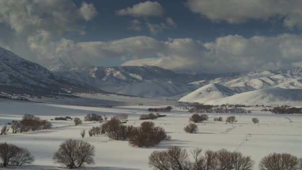 Vista Aérea Árboles Valle Cerca Cordillera Invierno Wallsburg Utah Estados — Vídeos de Stock